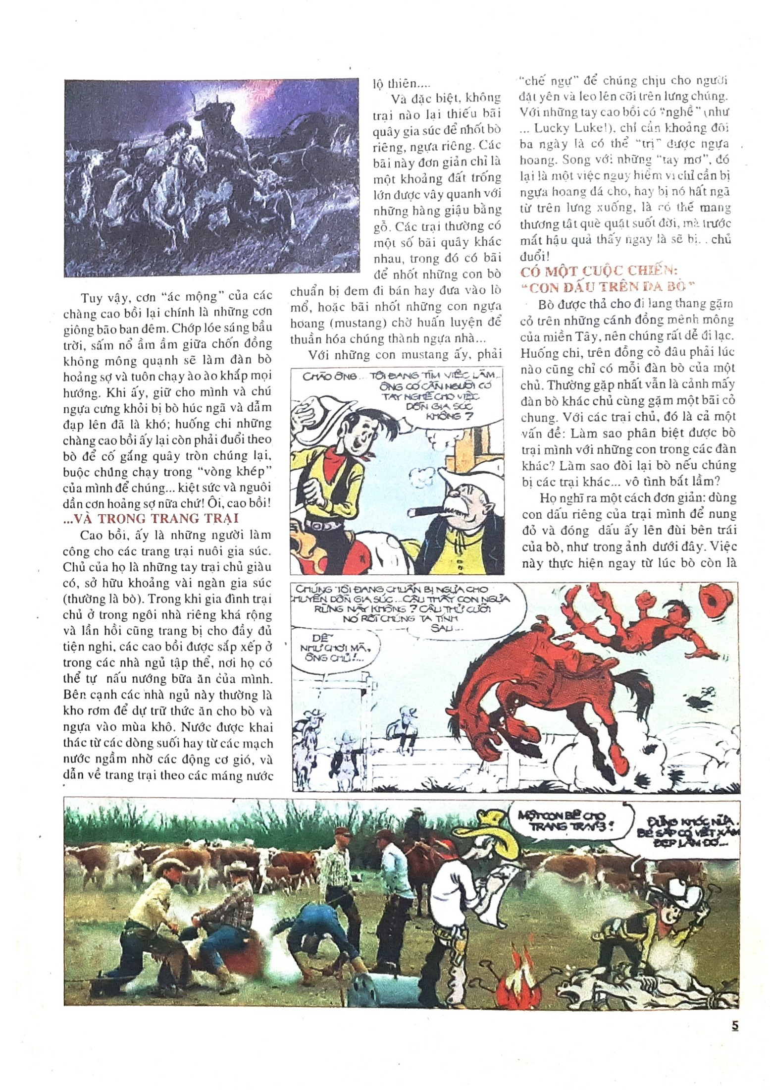 Hồ Sơ Lucky — page 6